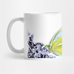 Cabbage White Close Up Mug